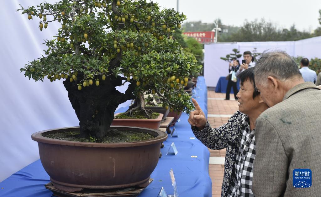 新纪元娱乐